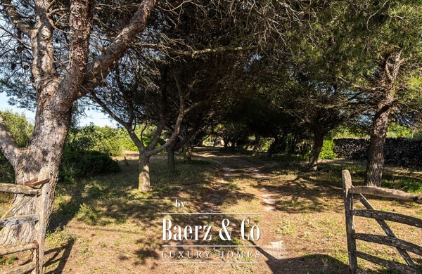 photo 27 RUSTIC ESTATE FROM THE 18TH CENTURY