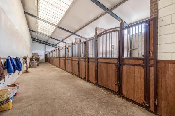 photo 39 Waatselaarstraat 3