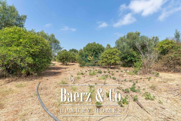 photo 26 Beautiful luxury home in Moncarapacho e Fuseta, Moncarapacho (Fuseta)