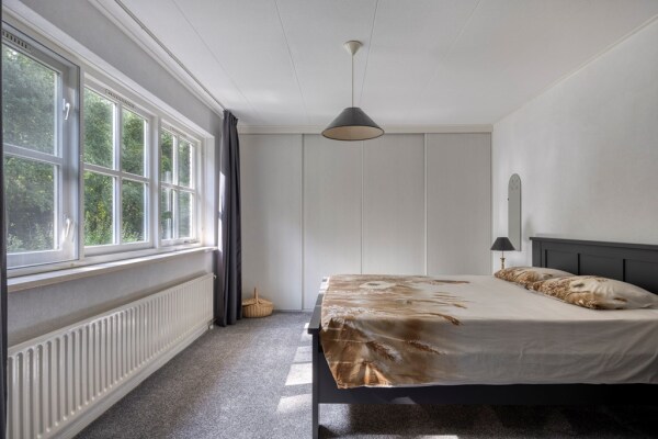 photo 33 Bilzekruid 11