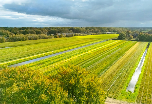 photo 73 Bekslaan 58