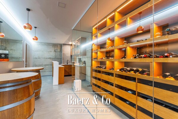 photo 17 Gornji Mihaljevec, Vukanovec, luxury villa on a 12,622 m² plot of land.