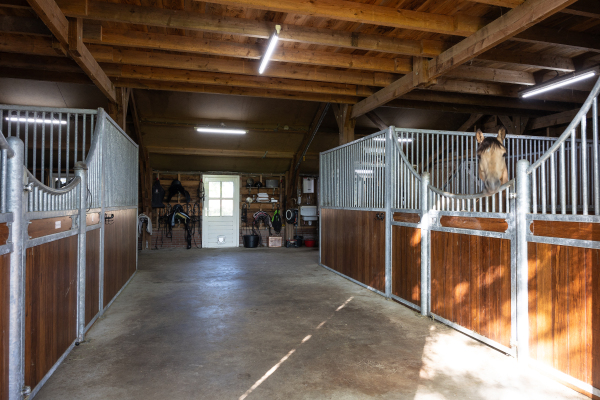 photo 52 Uilengat 5